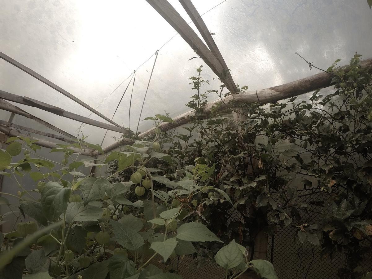 Yasí Yateré Reserva Agroecológica El Soberbio Kültér fotó