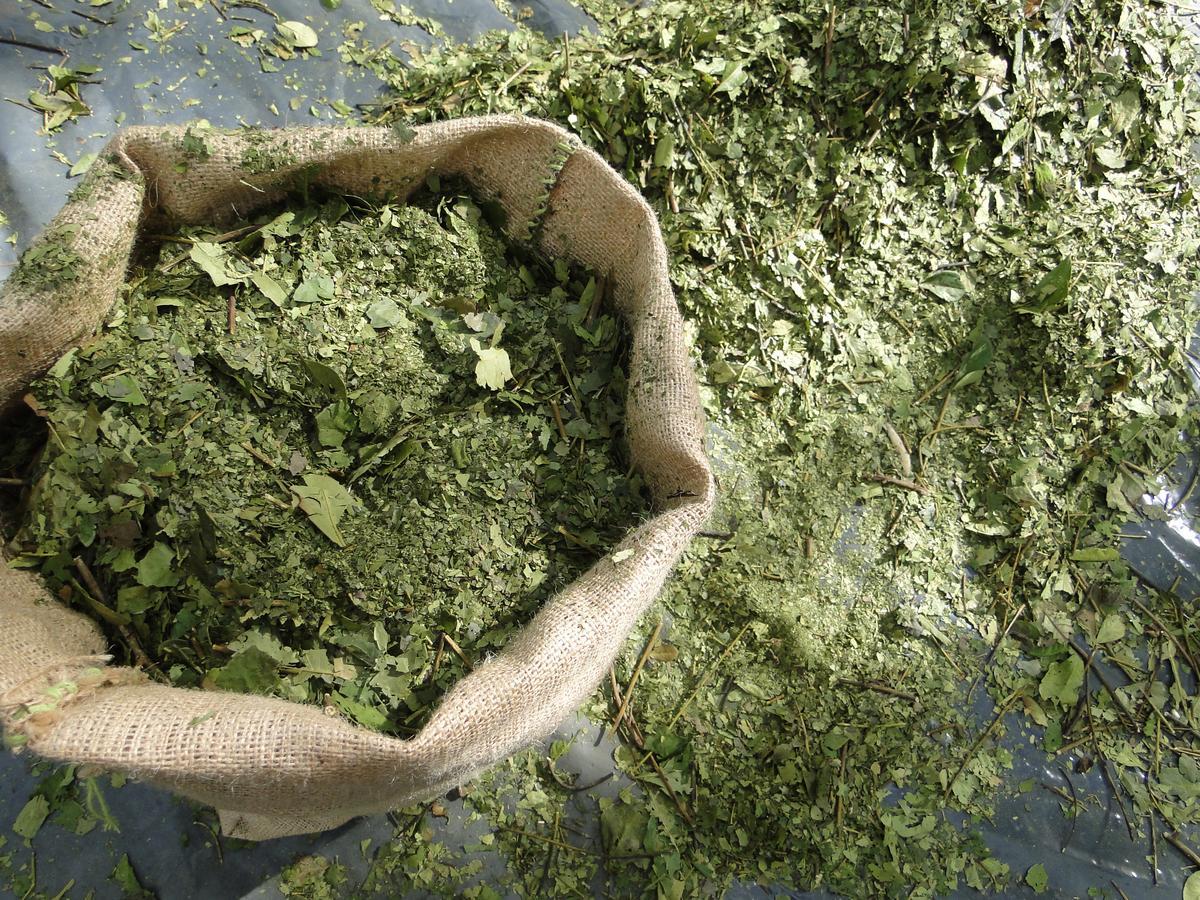 Yasí Yateré Reserva Agroecológica El Soberbio Kültér fotó